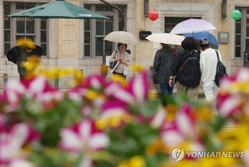봄비 (출처=연합뉴스)