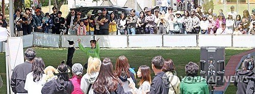 봄날 반려견과 추억 (출처=연합뉴스)