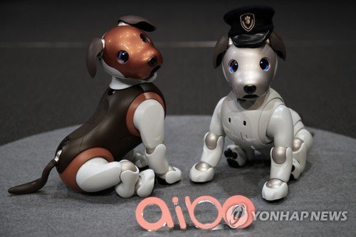 AI 시대 진화하는 로봇 강아지…'가족'의 경계 허무나 (출처=연합뉴스)