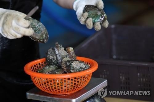 전복 (출처=연합뉴스)