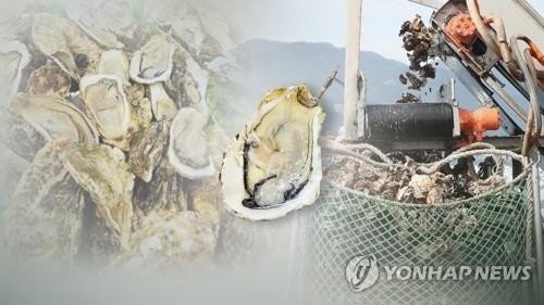 굴 (출처=연합뉴스)