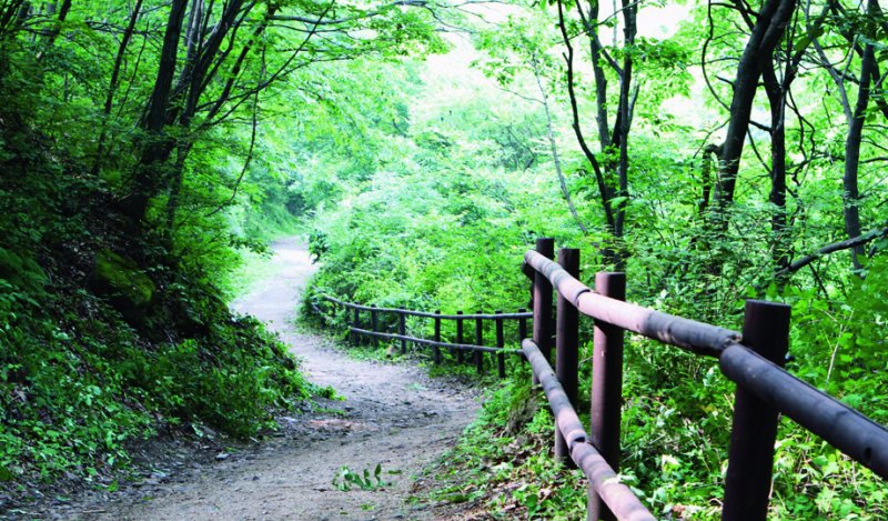 문경의 관음리와 충주의 미륵리를 잇는 고갯길 하늘재 풍경.(충주시 제공. 재판매 및 DB금지)/뉴스1