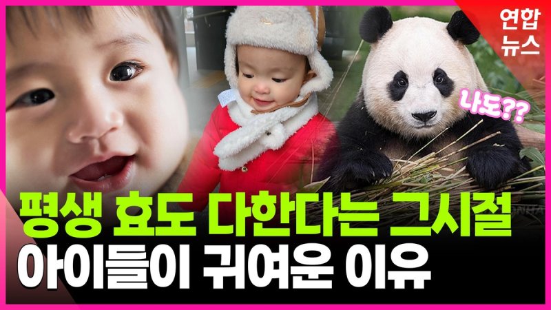 [영상] "쉰살 넘은 아들의 어린 시절이 아직도 눈에 선해요" (출처=연합뉴스)