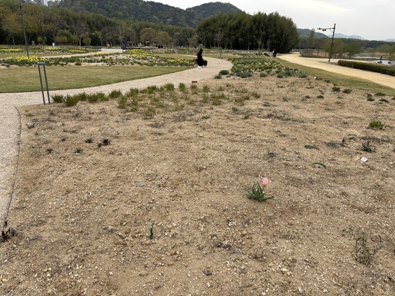 봄이 되어서야 드러났다.. 울산 국가정원 이상기후 피해 속출