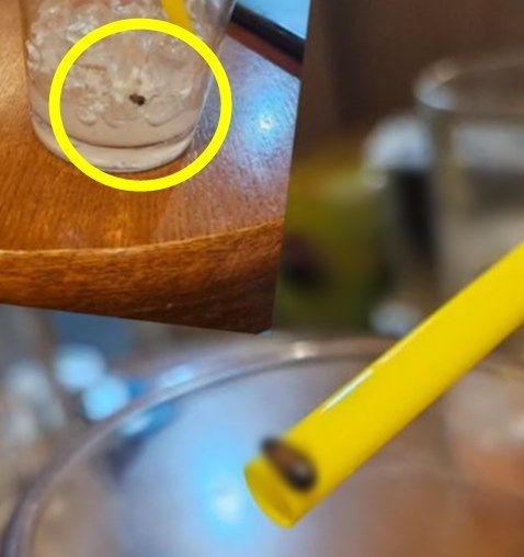 음료서 바퀴벌레 나왔는데…읽씹당하고 3900원만 입금 '황당'