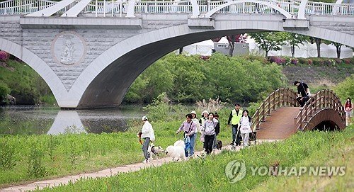 임실N펫스타에서 즐기는 산책 (출처=연합뉴스)