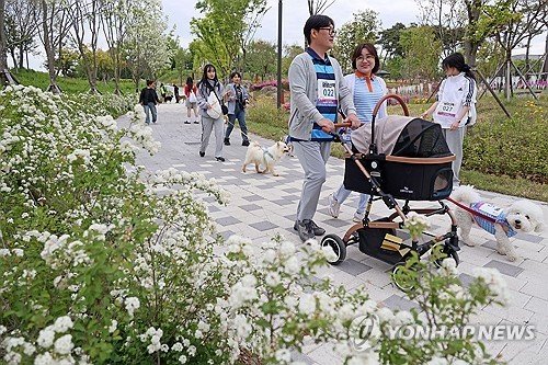 임실N펫스타에서 즐기는 산책 (출처=연합뉴스)