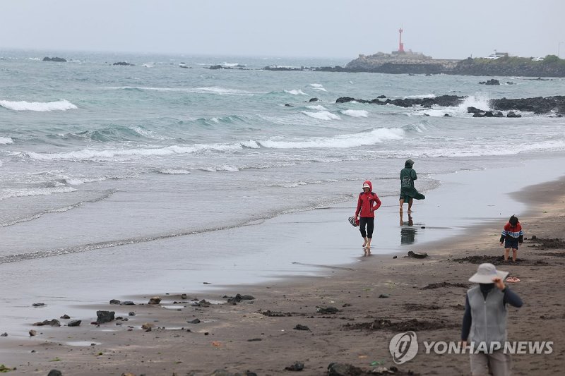비 내리는 제주 (출처=연합뉴스)