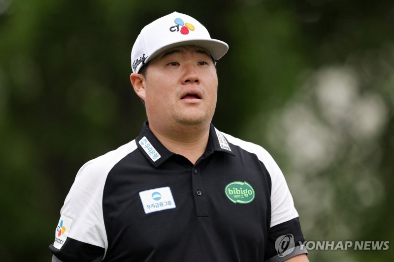 프로골퍼 임성재 (출처=연합뉴스)