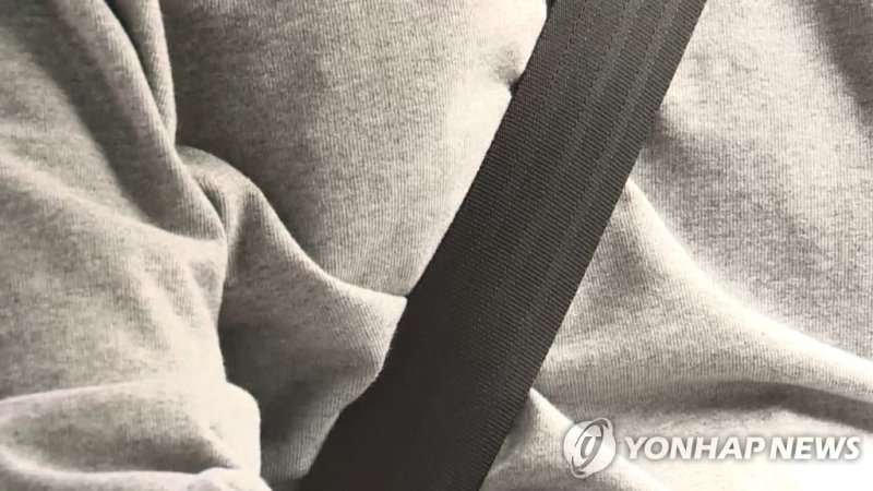 안전띠 (출처=연합뉴스)