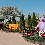 ′곰 세 마리′로는 부족하다? 서울식물원에 들어온 민원이...