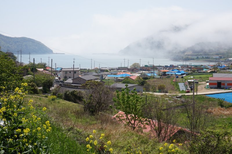 바다가 내륙으로 깊숙이 들어와 '골기미'라고도 부르는 읍구마을 풍경. 밀물이 마을로 해무를 보내 안부를 살핀다. 2025.5.2/뉴스1 ⓒ News1 조영석 기자