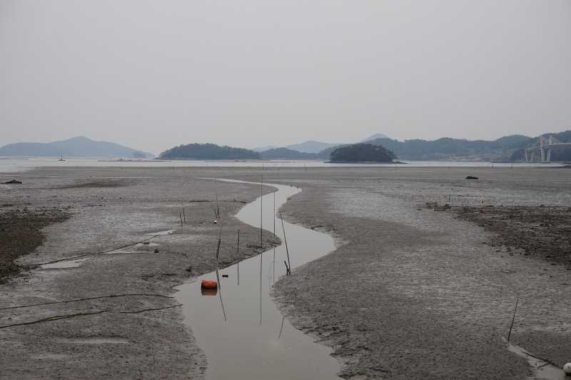 산행리에서 곤우로 넘어가는 길목의 원둑에서 바라 본 갯벌 풍경. 낙조가 아름다운 지역이다. 원둑 바깥은 갯벌이 물고기를 키우고, 안쪽은 간척지가 되어 사람을 키운다. 2025.5.2/뉴스1 ⓒ News1 조영석 기자
