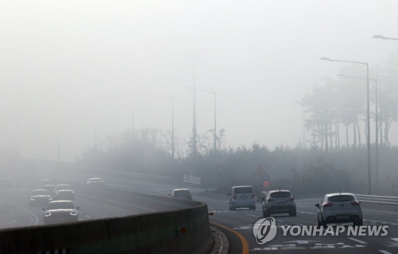 내륙 안개, 운전 조심 (출처=연합뉴스)