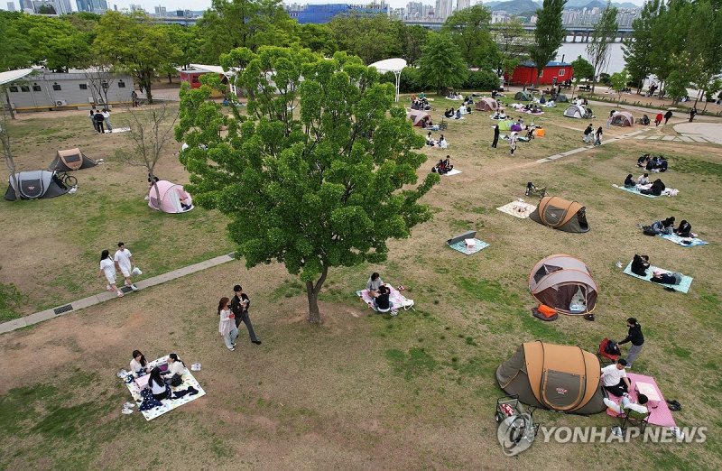 나무 아래 휴식 (출처=연합뉴스)