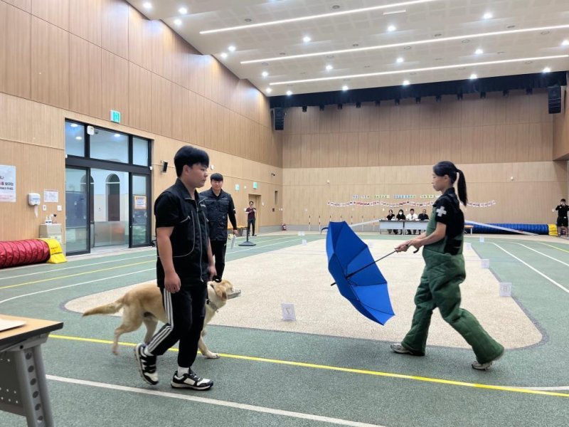 대전반려동물공원 실내놀이터에서 실시한 기질평가 사전 모의시연 모습.(대전시 제공)/뉴스1 ⓒ News1