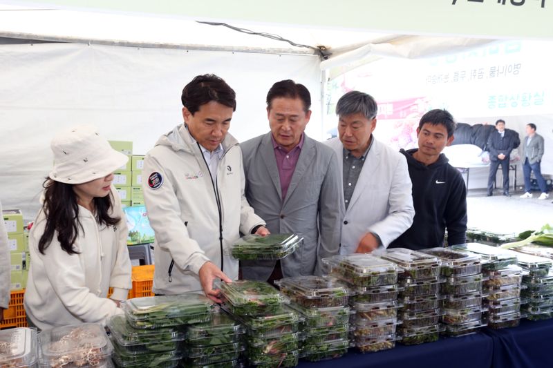 강원n 홍천 산나물축제 성료..."황금연휴와 함께 대박행진"