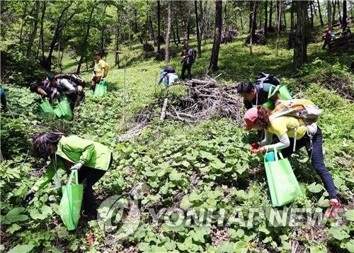 산나물축제 (출처=연합뉴스)