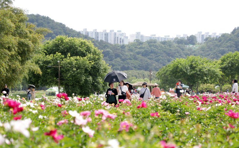 지난해 개최된 '2024 태화강 국가정원 봄꽃축제' 자료사진./뉴스1 ⓒ News1 김지혜 기자