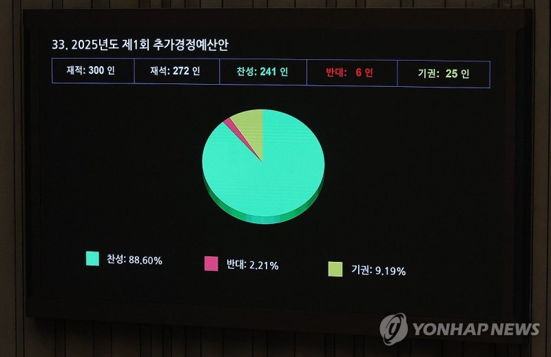 2025년도 1차 추경안 국회 본회의 통과 (출처=연합뉴스)