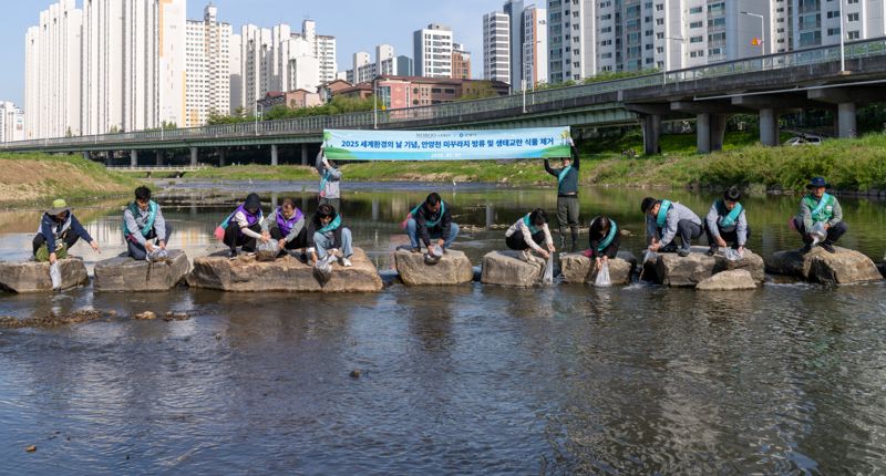 노루페인트, 지역주민과 안양천 환경정화 활동