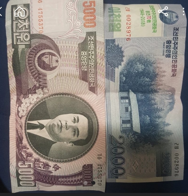 지난 4일 중고물품 거래앱 '당근마켓'에 올라온 '북한 지폐' 판매글.(독자제공. 재판매 및 DB 금지)
