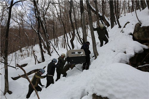 '떼죽음' 사태 속 구조된 산양 5마리, 건강 회복해 자연으로 (출처=연합뉴스)
