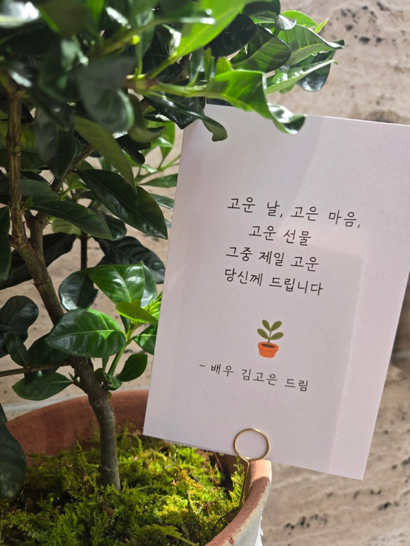 김고은, 어버이날 미담…소속사 모든 직원 가정에 깜짝 선물