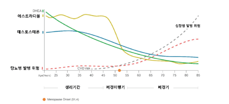 키 성장을 멈추게 하는 성조숙증, 치료하면 과연 키가 클까? [안철우 교수의 호르몬 백과사전]
