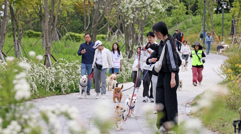 5일 전북자치도 임실군 성수면 임실치즈테마파크에서 열린 어린이날 행사에서 어린이들이 각종 체험을 하며 즐거운 시간을 보내고 있다. (임실군청 제공. 재판매 및 DB 금지) 2025.5.5/뉴스1 ⓒ News1 유경석 기자
