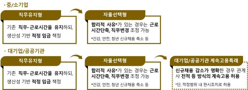 [서울=뉴시스] 경제사회노동위원회(경사노위) 산하 인구구조 변화 대응 계속고용위원회(계속고용위) 공익위원들이 8일 제시한 고령자 계속고용의무제도 체계. 2025.05.08. (자료=경제사회노동위원회 제공) *재판매 및 DB 금지