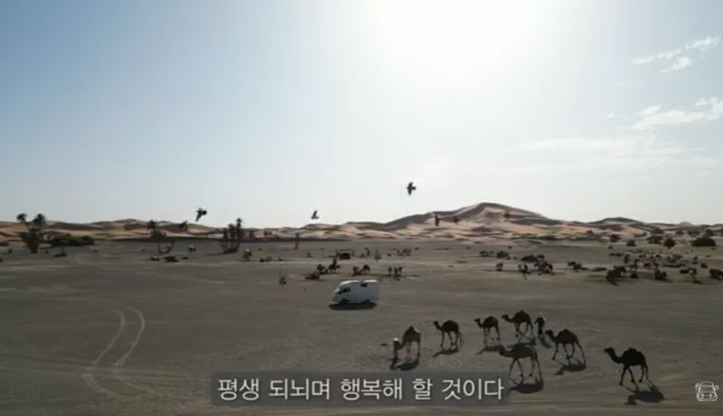 "동물이 울부짖는 소리가 들린다..온 나라가 피로 물든 것 같았다" [시로와 탄의 '내차타고 세계여행' 365일] <62>모로코-스페인