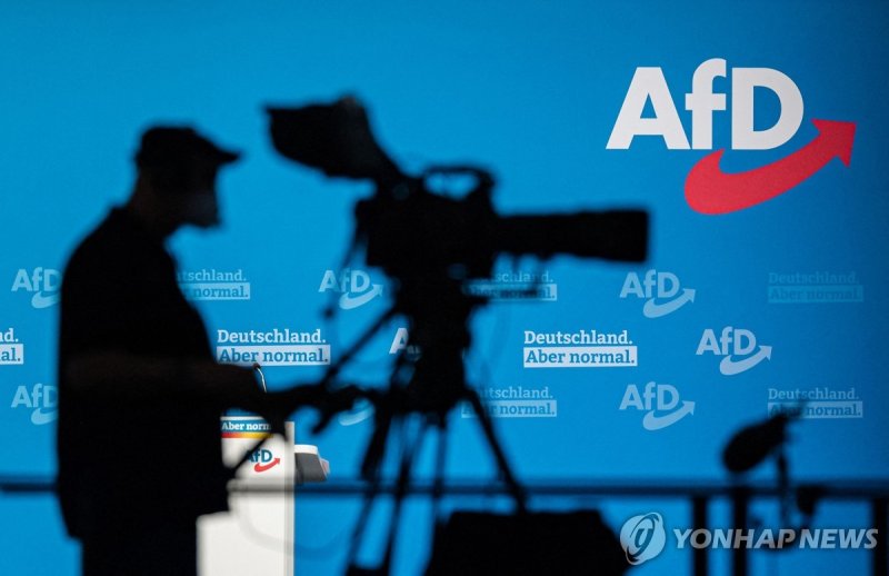 AfD (출처=연합뉴스)