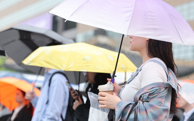 비 내리는 거리. ⓒ News1