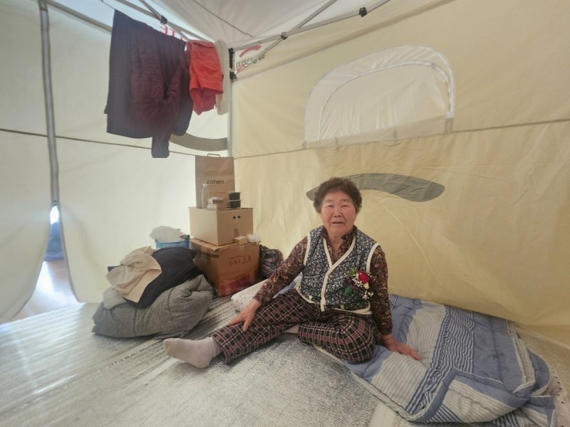 44일째 임시 거처 텐트에서 생활 중인 금영자 할머니 (출처=연합뉴스)