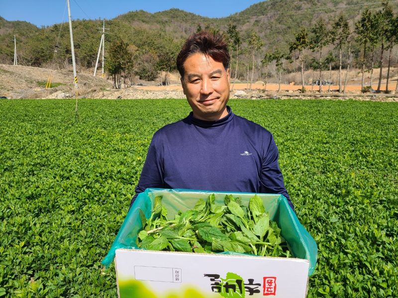 전남도는 5월 이달의 임업인으로 고흥 도화면에서 취나물을 생산해 출하하는 한윤섭 고흥취나물웰빙영농조합법인 이사<사진>를 선정했다고 9일 밝혔다. 전남도 제공