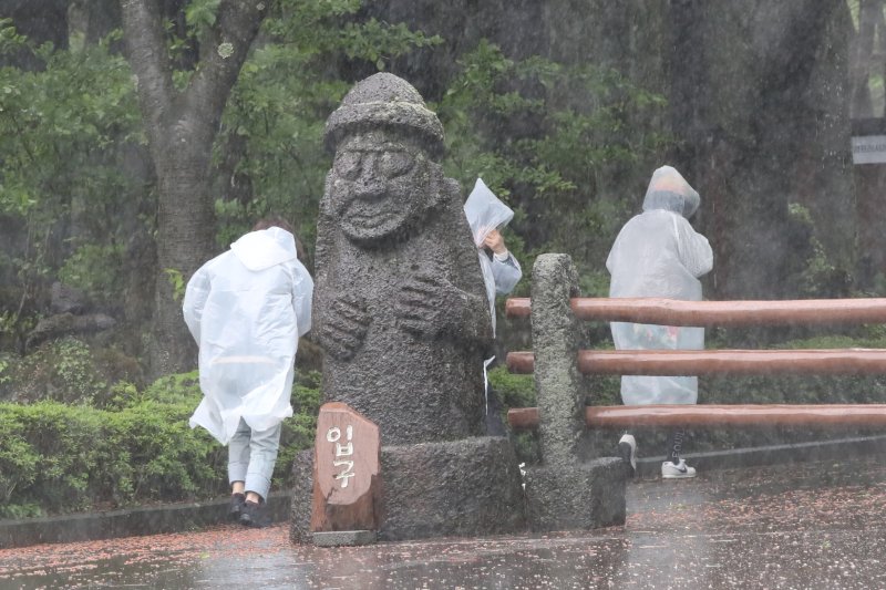 제주 대부분 지역에 호우특보가 내려진 9일 오전 제주시 봉개동 절물자연휴양림에 많은 비가 내려 탐방객이 급히 발걸음을 옮기고 있다. 2025.5.9/뉴스1 ⓒ News1 오현지 기자