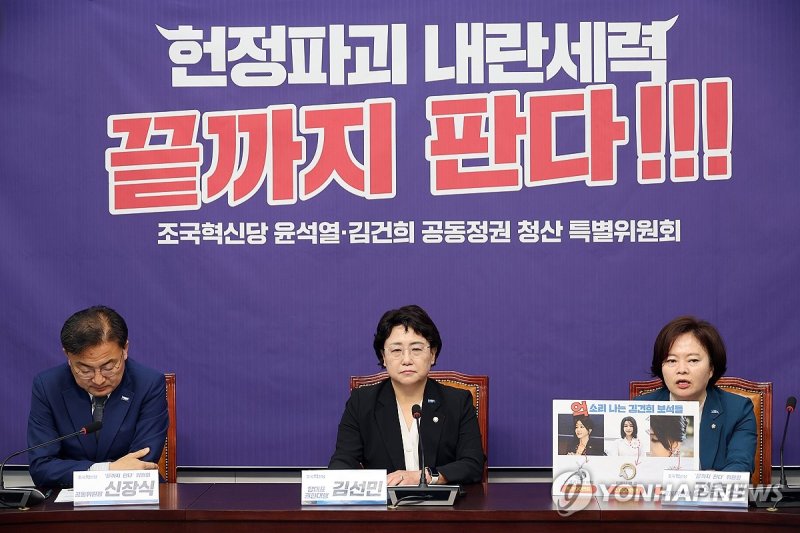 발언하는 정춘생 공동위원장 (출처=연합뉴스)