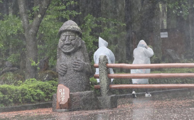 제주 대부분 지역에 호우특보가 내려진 9일 오전 제주시 봉개동 절물자연휴양림에 많은 비가 내려 탐방객이 급히 발걸음을 옮기고 있다. 2025.5.9/뉴스1 ⓒ News1 오현지 기자