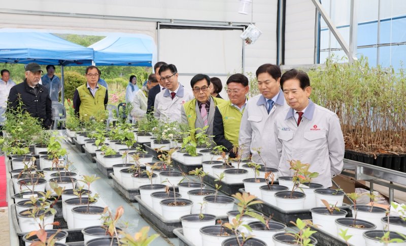 울산 첫 스마트 묘목장 (출처=연합뉴스)