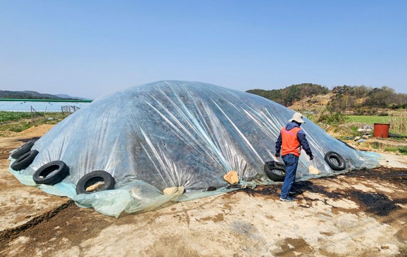 [창녕=뉴시스] 창녕군과 낙동강유역환경청 관계자들이 하천변 야적 퇴비 현장을 점검하고 있다. (사진= 창녕군 제공) 2025.05.09. photo@newsis.com *재판매 및 DB 금지