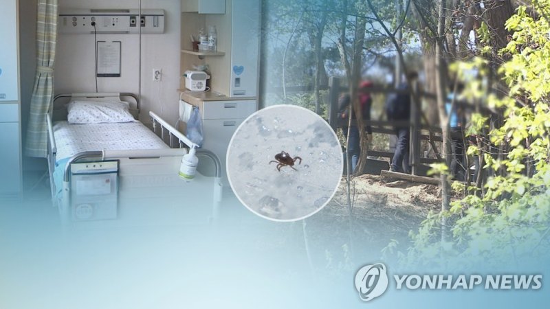 진드기 매개 SFTS 환자 발생 (CG) (출처=연합뉴스)