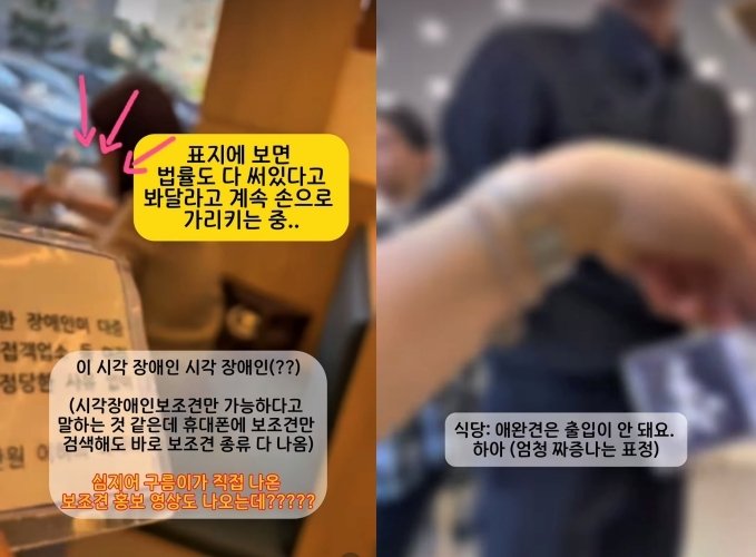 보조견 출입 거부하는 식당 (출처=연합뉴스)