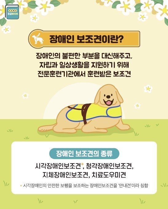 장애인 보조견 홍보문 (출처=연합뉴스)