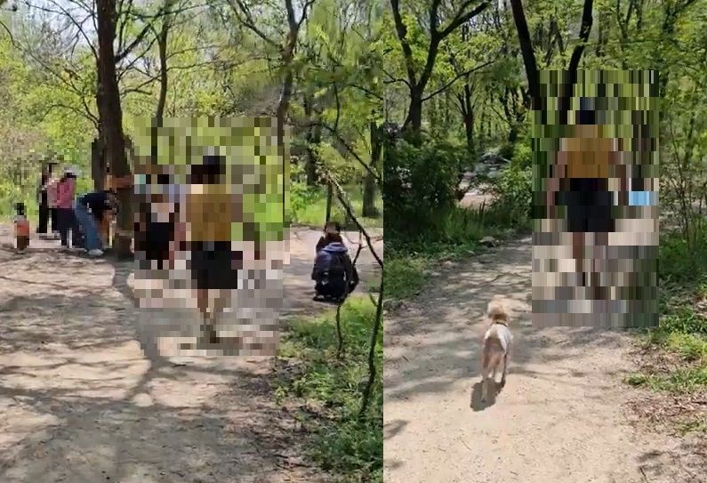 "목줄 채워달라" 했더니 욕설한 견주 "네가 뭔데..."