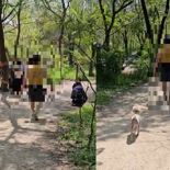 ″목줄 채워달라″ 했더니 욕설한 견주 ″네가 뭔데...″