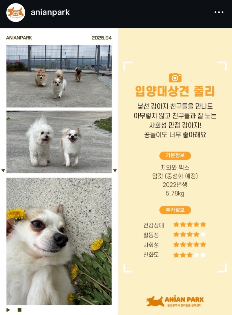 울산애니언파크 인스타그램 공식계정에 올라 온 줄리 홍보 게시글 갈무리.