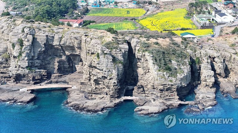 제주 서귀포의 봄 (출처=연합뉴스)