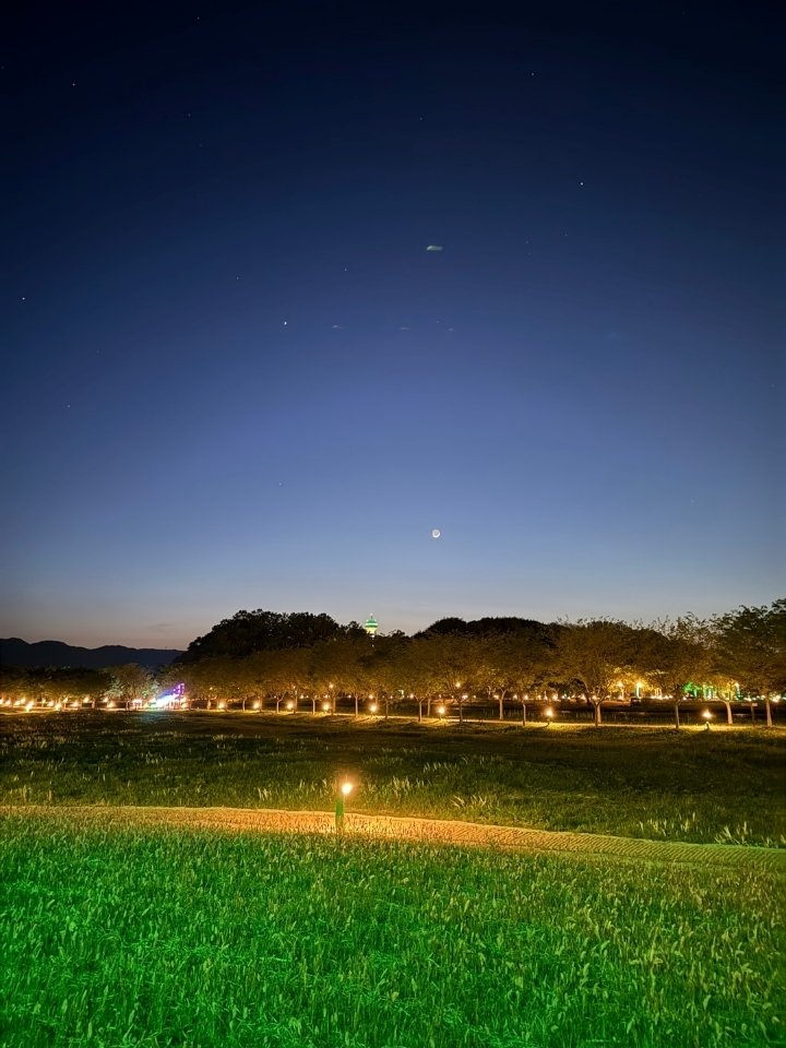 거창 창포원 야경(거창군 제공. 재판매 및 DB금지).