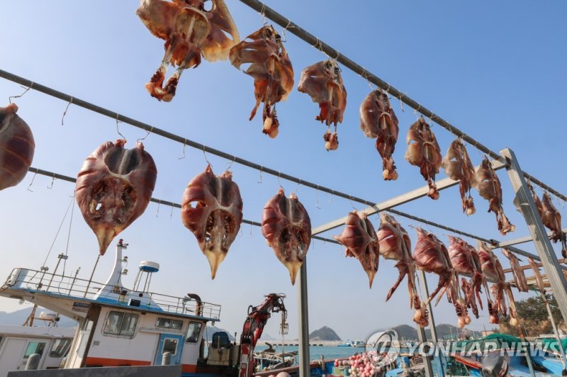 흑산도 예리항에서 말라가는 홍어 (출처=연합뉴스)